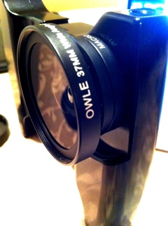 20110707-083321.jpg